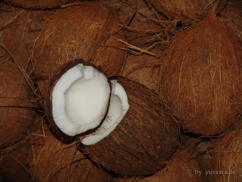 Das Highlight, traditionelles Kokosnuss öffnen zur Begrüßung ihrer Gäste (1)
